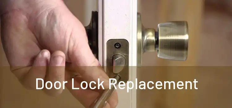  Door Lock Replacement 