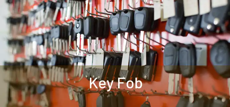  Key Fob 